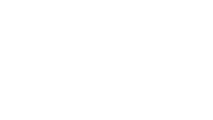 carrier